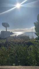 925448340_good-morning-malibu_0.mp4