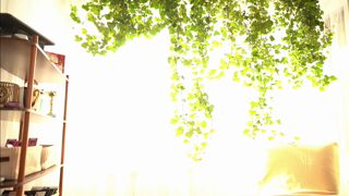 TheMaddisonShow__Stripchat_20260614_071434.mp4