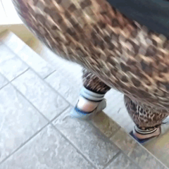 690723__0.gif