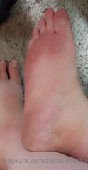 340783881_baby-piglet-needs-a-pedicure_0.m4v