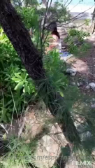 5f541d403f945d4d1f953_source.mp4