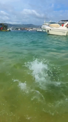 StorySaver.net-dellpaps-Video-1779845478067.mp4