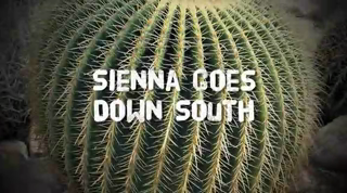 sienna_goes_down_south_320p.mp4