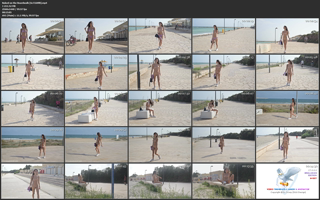 Naked on the Boardwalk [6c7220f8].mp4.jpg