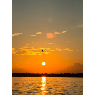 3719797932350797070--dianaelizon_DOfYIT3gIW4.jpg