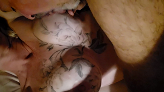 absolutmilfsc3vid216.wmv