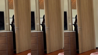 564 Tung Tung Tung Sahur T3 Cosplay Sweetie Fox Brainrot_1080p.mp4