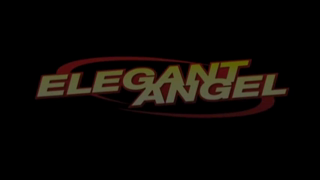 Anal Fanatic Vol. 1 (Elegant Angel).mp4