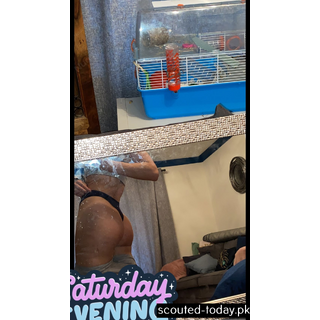 Abigail N (197).jpg