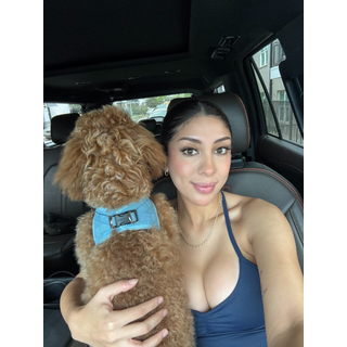 3845880158204474754--dianaelizon_DVfUH30AHs2.jpg