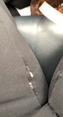 444826056_my-pants-are-history_0.m4v