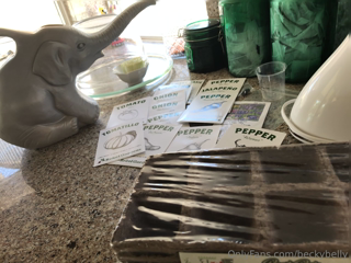 740851401_starting-a-new-garden-is-not-just-about-growing-plants-and-f_0.mp4