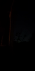 2026-01-07 7592413443911633677 fairyoclock_av1.mp4