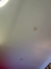 Im_Valentina_Stripchat_20260603_032710.mp4