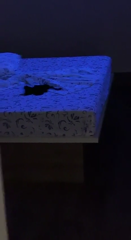 4.mp4