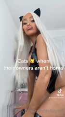 353939016_can-i-be-your-pet_0.m4v