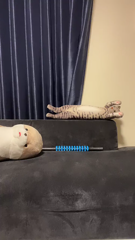 20230630_rimu_yumino_17908675949790595_1688044086_live.mp4