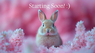 bunnydollstella_2026-05-18.mp4