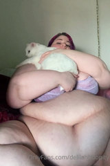 155514122_cute-kitty-cuddles-with-belly-while-i-edit-this-overly-long_0.m4v