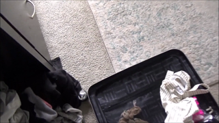 2020-05-21 - Alessia Luna - Moving Back Home - [FamilyTherapy].mp4