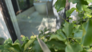 558 Hot Brunette Fucks Gardener While Husband Is on BusinessTrip_4k_comp.mp4