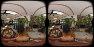 VRBANGERS_hawaiian_paradise_8K_180x180_3dh.PART2.mp4