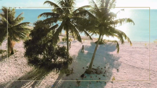 Adam.Sucht.Eva.S04E02.1080p.mp4