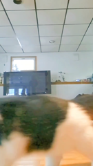 Sp9QQ9yJvqxibHeI.mp4