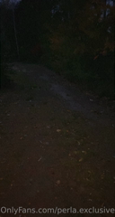 443704308_machst-du-es-mit-mir-hier-im-wald-will-you-do-it-with-me_0.m4v