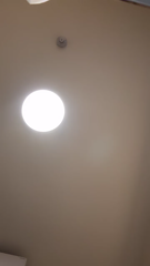 20230808_7s_02__17871605390955370_1691432016_live.mp4
