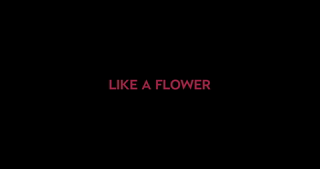 wowgirls.16.08.11.candy.sweet.like.a.flower.1080p.mp4